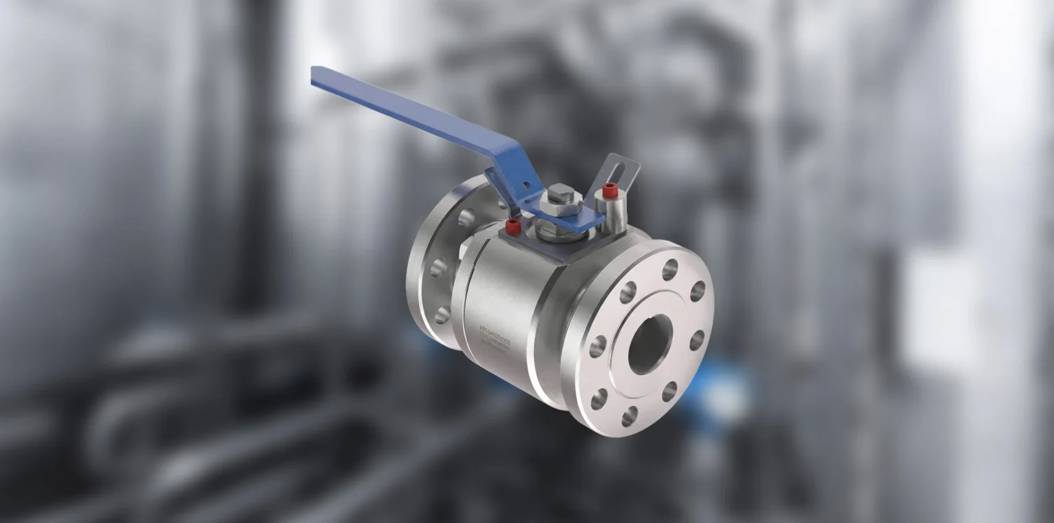 Gate & Globe Valves