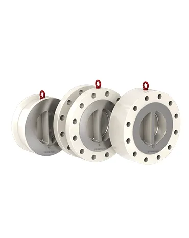 Dual-Check-valve