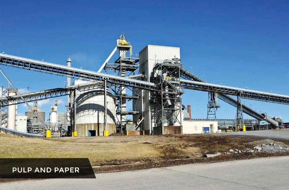 PULP-AND-PAPER-1