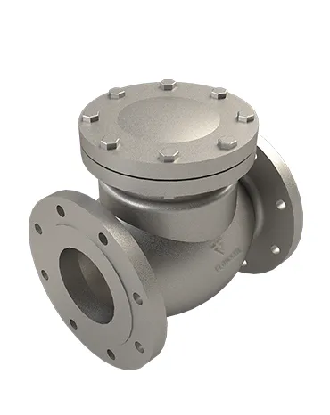 Swing-Check-valve